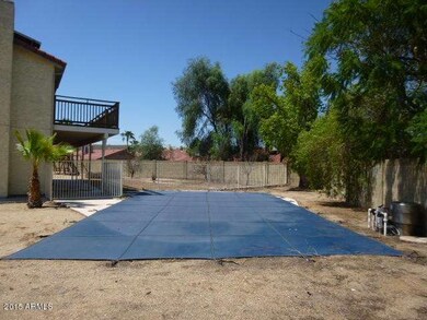 BACKYARD (2)