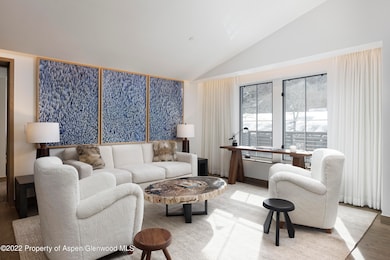 550 S Spring St unit 392, Aspen, CO 81611 - photo 5