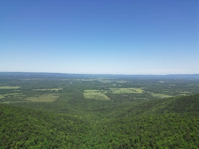 TRACT 40 Trail Ridge Rd, Albion, OK 74571 - photo 7