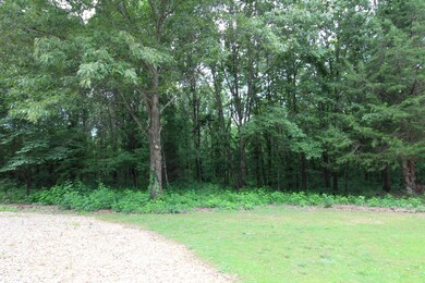 265 State Highway Pp, Tecumseh, MO 65760 - photo 3