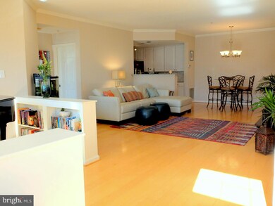 10830 Symphony Way, Columbia, MD 21044 - photo 6