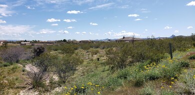 21855 Gibson Way unit 5, Wickenburg, AZ 85390 - photo 4