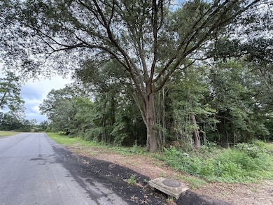 0 Live Oak Ln unit LotWP001, Barnwell, SC 29812 - photo 5