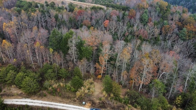 dji_fly_20241109_132010_588_173117670620