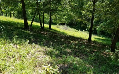 Additional View