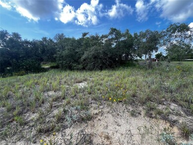 200 Aldo Rd, Babson Park, FL 33827 - photo 3