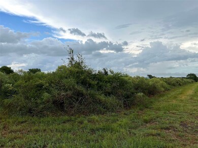 This 200' x 151' lot has lush vegetation and is th