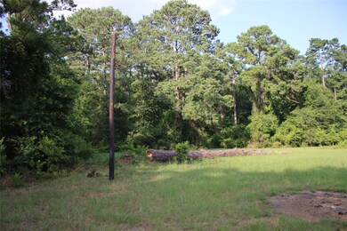 218 Dogwood Trail, Magnolia, TX 77354 - photo 4