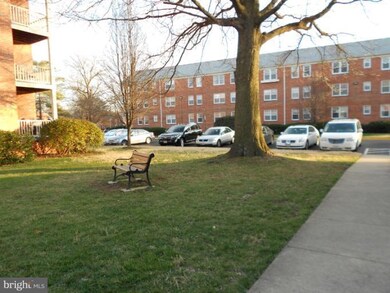 6516 Potomac Ave unit A2, Alexandria, VA 22307 - photo 7