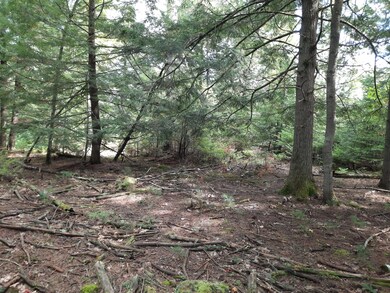 1 Hatch Rd, Lisbon, ME 04250 - photo 7