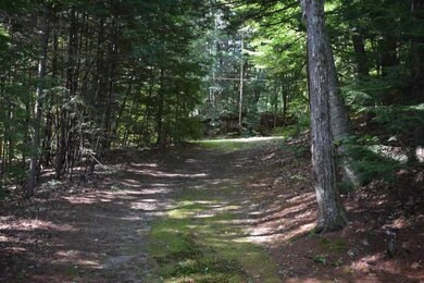 6 Birch Point Rd, Sanbornton, NH 03269 - photo 7