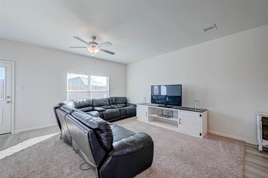 21002 Capulin Lakes Dr, Hockley, TX 77447 - photo 7