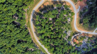 LT 84 Ridge Dr, Morganton, GA 30560 - photo 2