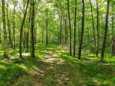 10033 Hwy 86, Tomahawk, WI 54487 - photo 2