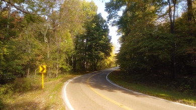 0 Clouse Hill Rd, Pelham, TN 37366 - photo 5