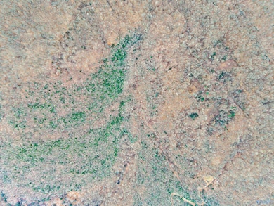 41 ac Kroff Rd, Gurley, AL 35748 - photo 3