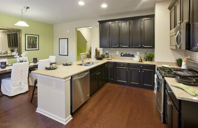 NEC-CTX-WL-IN-Silverbrook-kitchen