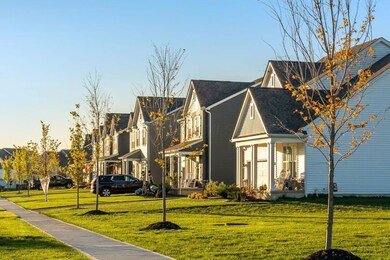 Community Streetscape