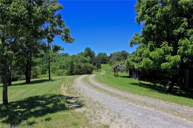 Peaceful and private drive lined by fruit trees Lake #1, guest cottage, old farm shed, pecan trees, and so much more.