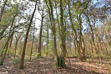 0 Harley Davidson Ln unit 289898, Crawfordville, FL 32327 - photo 2