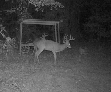 0 Abbeville Hwy, Pineview, GA 31071 - photo 5