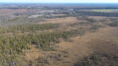 Highway 45, Birnamwood, WI 54414 - photo 5