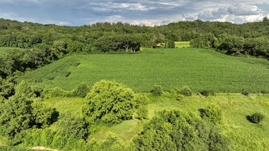 0 Hammer Rd, Sparta, WI 54656 - photo 6