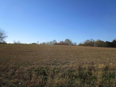 0 Kenneth Roach Ln unit 1052709, Rutledge, TN 37861 - photo 6