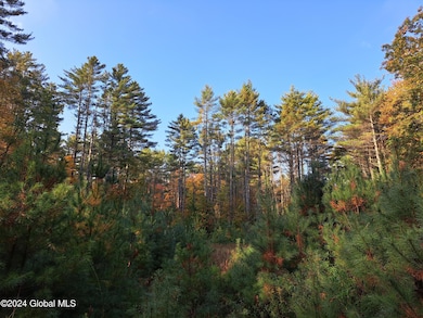 L9 Atateka Rd, Chester, NY 12817 - photo 6