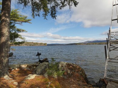 14 Little Bear Island, Tuftonboro, NH 03816 - photo 3