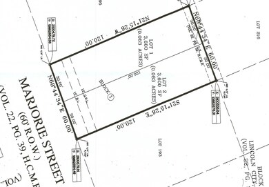 1010,1012 Marjorie St, Houston, TX 77088 - photo 4