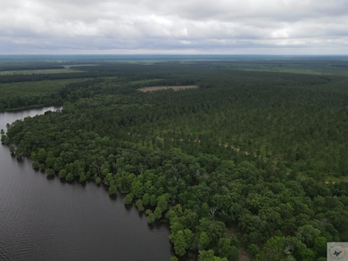 000 S Eagle's Way S, Bradley, AR 71845 - photo 6