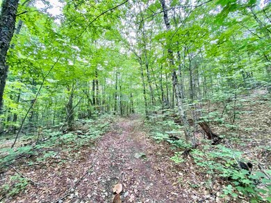 Lot 1 and 6 Grace and Granite Hill Rd, Wilmot, NH 03287 - photo 6