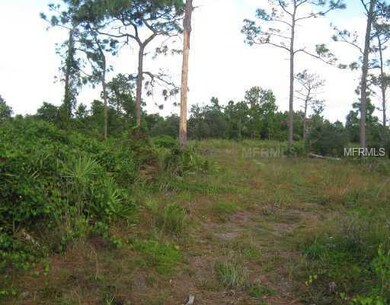 Mustang Ct, Saint Cloud, FL 34771 - photo 5