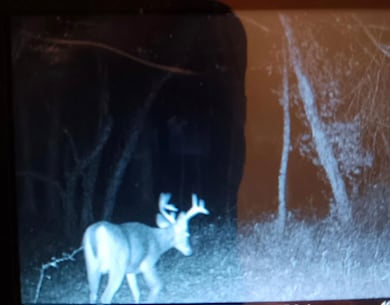 2222 101st Ave, Otsego, MI 49078 - photo 5