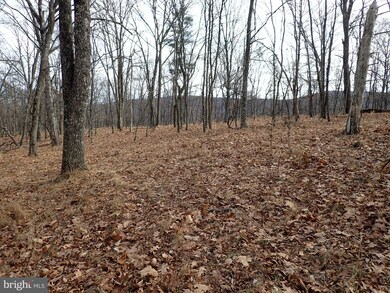 201 Hampshire Ridge, Romney, WV 26757 - photo 3