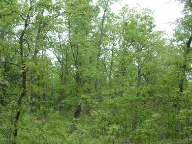 DSCF0111