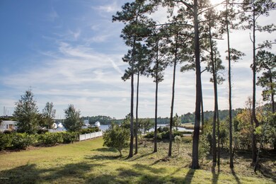 Lot 1 - HV1 - IMG_0753