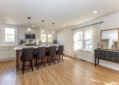 611 E Main St, Geneseo, IL 61254 - photo 4