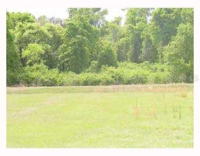 9823 Belmont Park Dr, Dade City, FL 33525 - photo 5