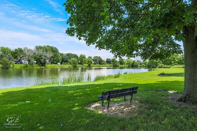 11S707 Schillinger Dr, Naperville, IL 60564 - photo 2