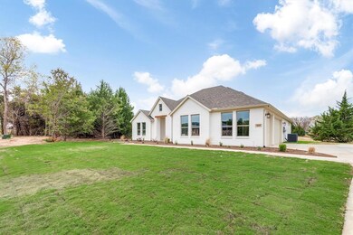 1009 Monaco Ct, Springtown, TX 76082 - photo 4