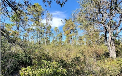 0 Brown Rd unit 123992, Lee, FL 32059 - photo 4