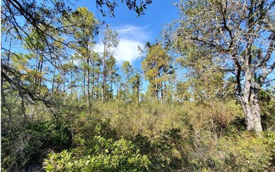 0 County Line Rd unit 123992, Lee, FL 32059 - photo 4