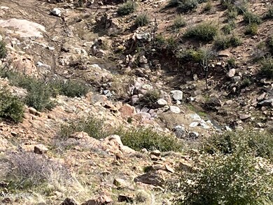 00000 E Ranch Creek Rd, Globe, AZ 85501 - photo 3