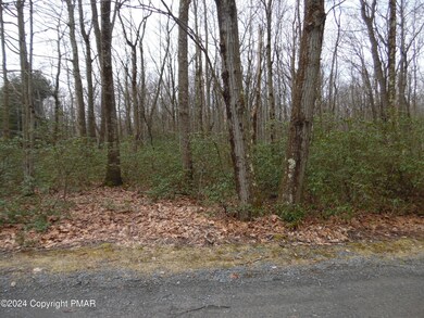 Lot E 540 Cocopah Circle Saginaw Dr, Jim Thorpe, PA 18229 - photo 7