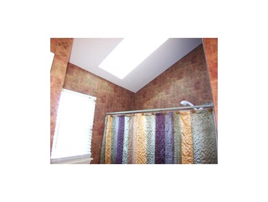 Master Vaulted Ceiling w/ Skylight