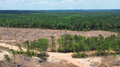 000 Cr 5217, Ethel, MS 39067 - photo 2