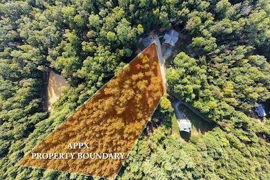 TBD Alex Way, Morganton, GA 30560 - photo 2