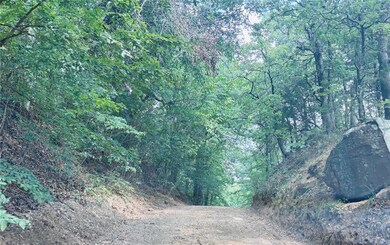 View of local wilderness